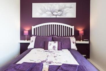 צימר Teifi Netpool