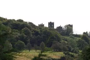 Castle Green Bed And Breakfast