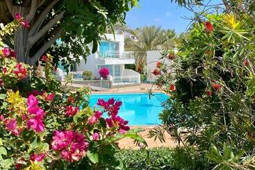 Апартаменты Acapulco Ocean View