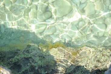 بنسيون Room In Studio Apartment Aniko Near The Sea