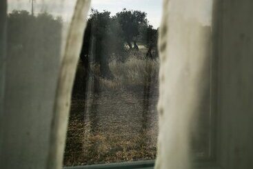 בית מלון כפרי Quinta Do Louredo évora