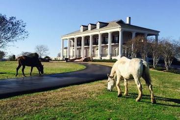 住宿加早餐 The Mansion At Red Hill