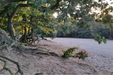 Отель Udens Duyn