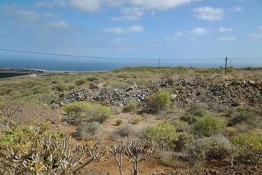 Finca Avestruz Noche Mágica Bajo Las Estrellas