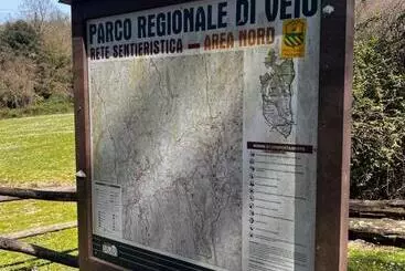 Pensió Luxury In The Jungle