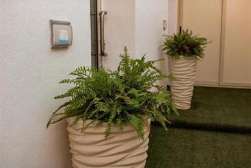 פנסיון Vicoletto Fiorito