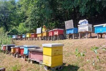 پانسیون Seosko Turističko Domaćinstvo Dunja