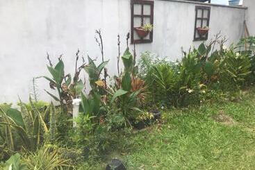 פנסיון Casa Amarela Campeche