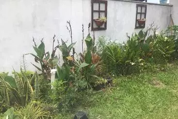 ペンション Casa Amarela Campeche