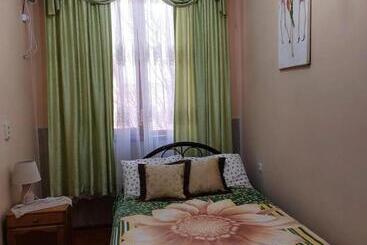 بنسيون Camellia