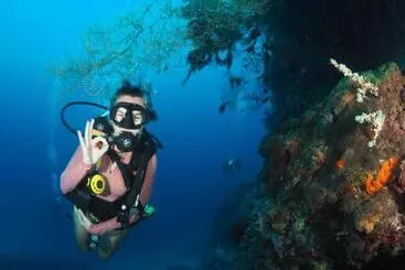 Hotelli Liberty S Community Lodge And Diving