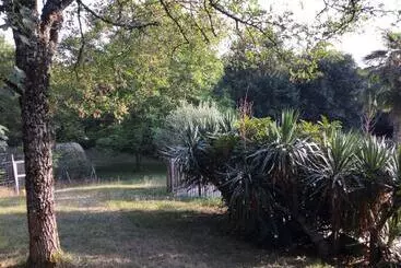 Pansiyon Le Chai, Gîte De Charme Avec Piscine
