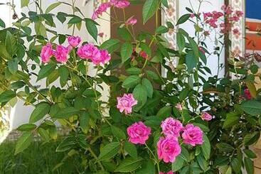 בית מלון כפרי Porto Seguro Flat