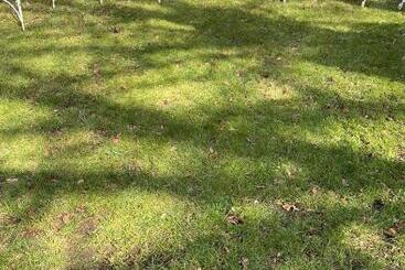 ベッドアンドブレックファースト Carrington House