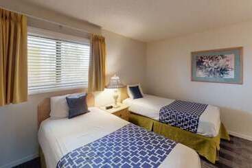 Apartamenty turystyczne Las Olas Beach Club