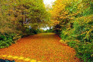 مبيت وإفطار Arnica Views Summit Retreat