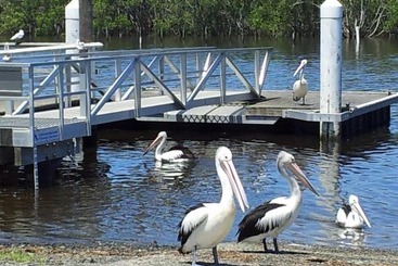 Harrington Village Motel