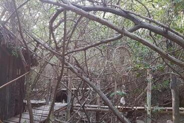 Pensão Eco Hostal Tonatiuh