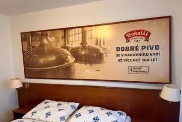 Hotel Pohostinství V Holi
