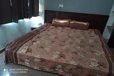 Hotel Oyo Shree Ganpati Cafe & Restaurant