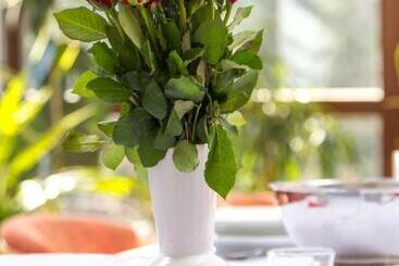 Residència Villa Tatry Stola