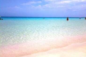 فندق Ristorante Mediterraneo Faro