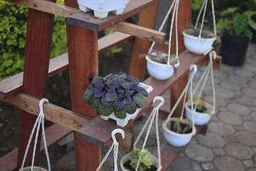 Schronisko Arusha Jambo House