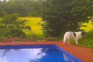 Boråkra Bed & Breakfast