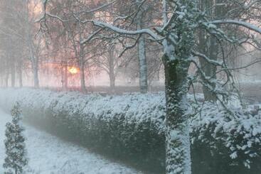 Skogis Bed & Breakfast