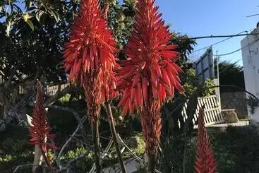 تختخواب و صبحانه Porto Monte