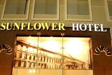 בית מלון כפרי Sunflower