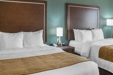 Отель Comfort Inn & Suites San Marcos