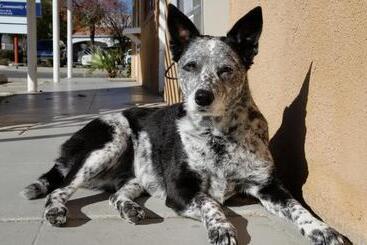 モーテル Laura Lodge