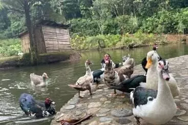 Finca De La Vaca   Glamping