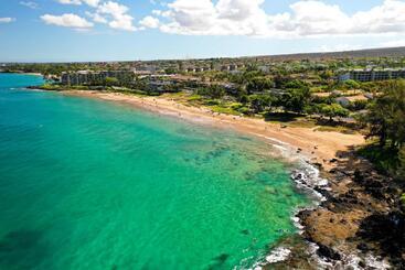 Apart Hotel Campcar Maui Jeeps Suvs Hybrid Camper Van Rentals With Equipment And Travel Advice