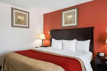 ホテル Quality Inn Kingsville Hwy 77