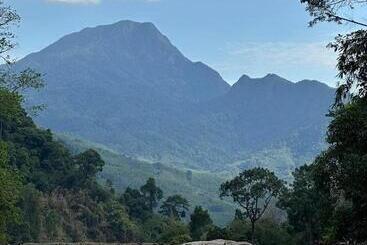 Pension (Hôtel basse catégorie) ท่าเเพรีสอร์ท