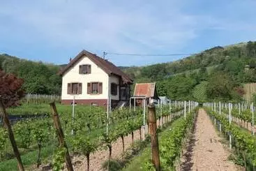 Dandelion Bed & Breakfast