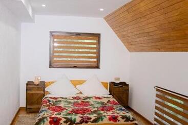 פנסיון Conacul Drahneilor