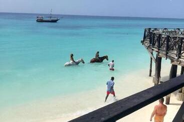 پانسیون Wannas House