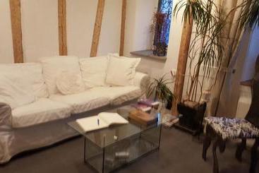 Airport Zürich Elwiras B & B