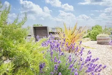 Botany Bay Beach Bed And Breakfast