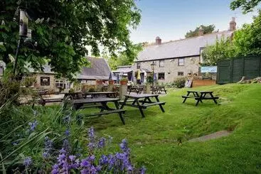 The Buddle Inn