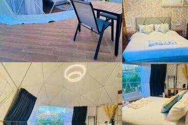 هاستل Papa Q Suite