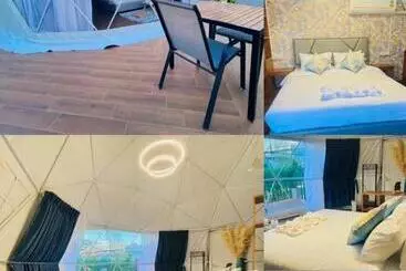 هاستل Papa Q Suite