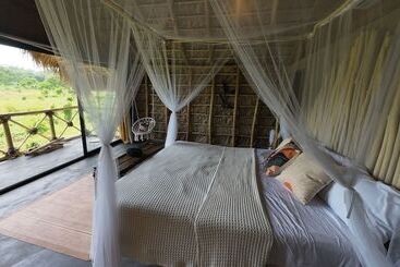 Dominican Jungle Resort