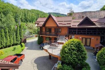 پانسیون Cartisoara