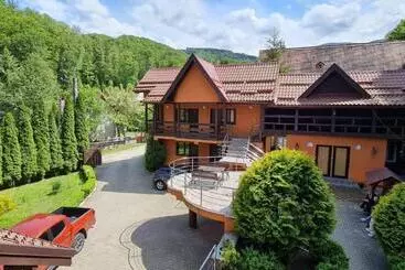 Pension Cartisoara