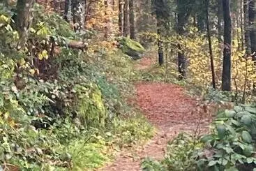 Bed and Breakfast Haus Am Alten Berg