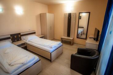 ペンション Vila Panseluța